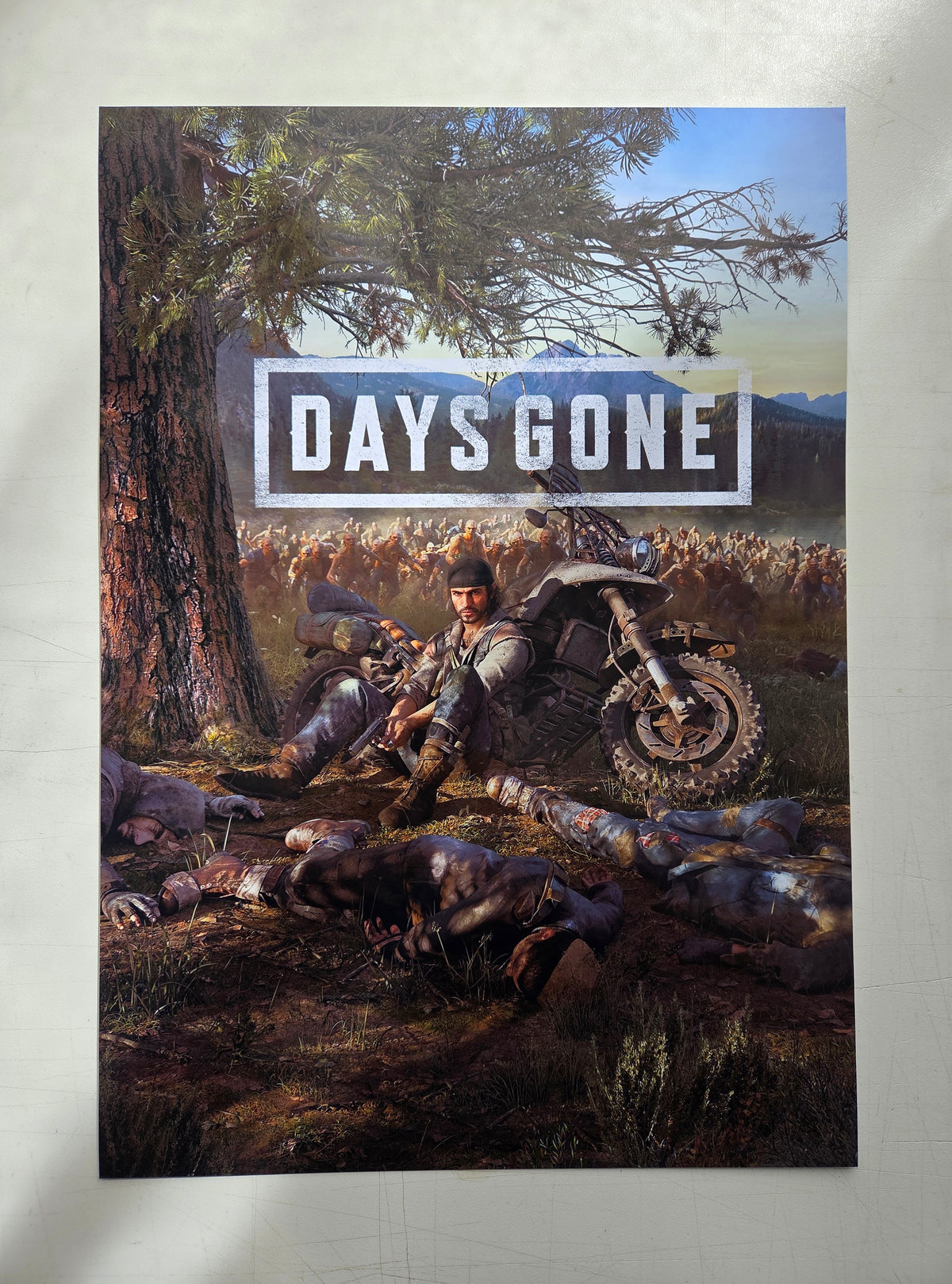 Affiche Cinéma Originale Jeux Vidéo - Days Gone (2019)